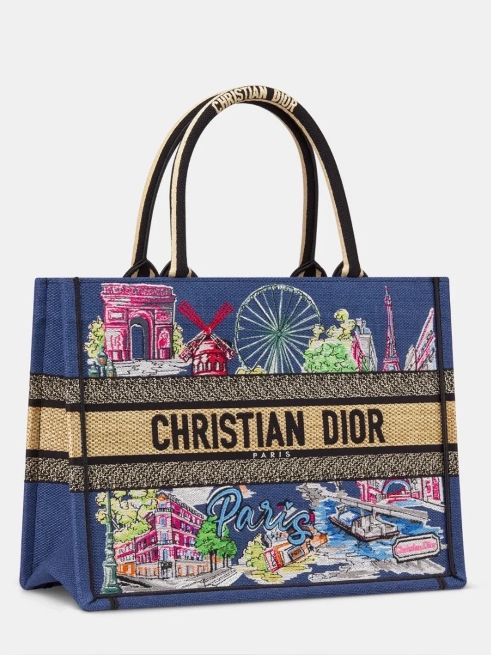 DIOR SOUVENIR MEDIUM DIOR BOOK TOTE - Picture 1 of 6